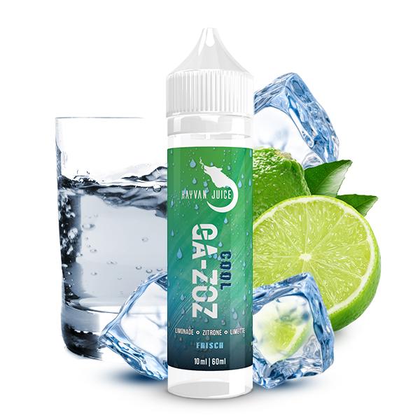 HAYVAN JUICE Cool Ga-zoz Aroma 10ml