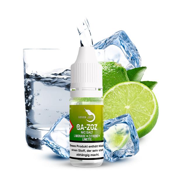 HAYVAN JUICE Ga-zoz Nikotinsalz Liquid 10ml