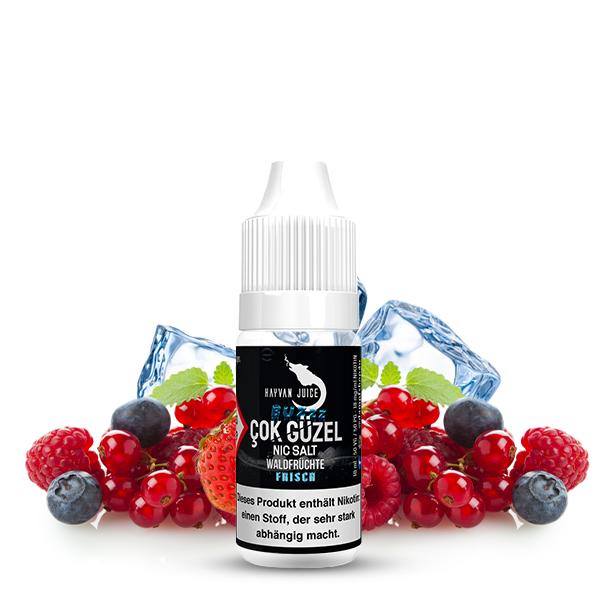 HAYVAN JUICE Cok Güzel Nikotinsalz Liquid 10ml